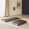 WALKINGPAD Foldable Walking Pad Treadmill